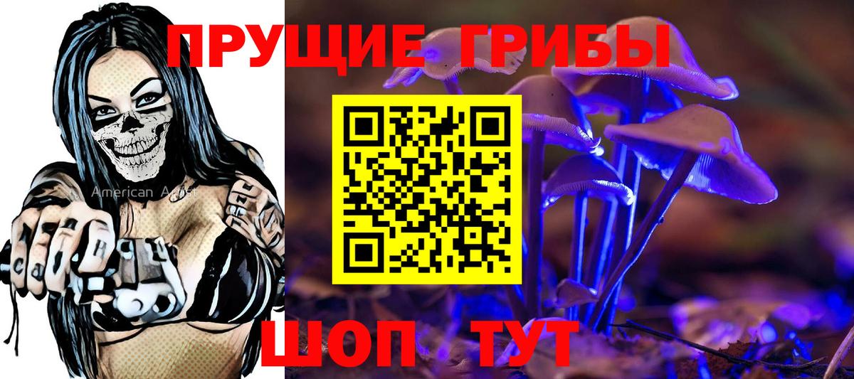 Псилоцибиновые грибы Psilocybine cubensis Кемерово